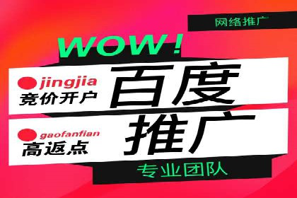百度竞价广告在电商行业的应用及效果展示